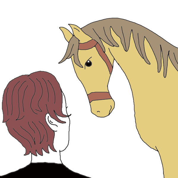 Horse Spiritual Meaning And Interpretation